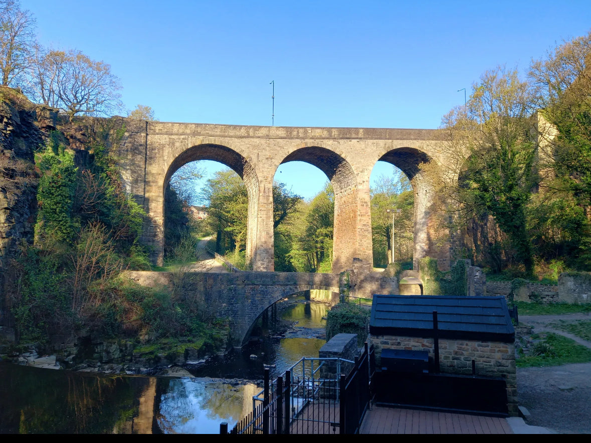 Torrs Millennium Walkway and Peak Forest Canal Circular 4 Miles Easy/Mod Sunday 13th July