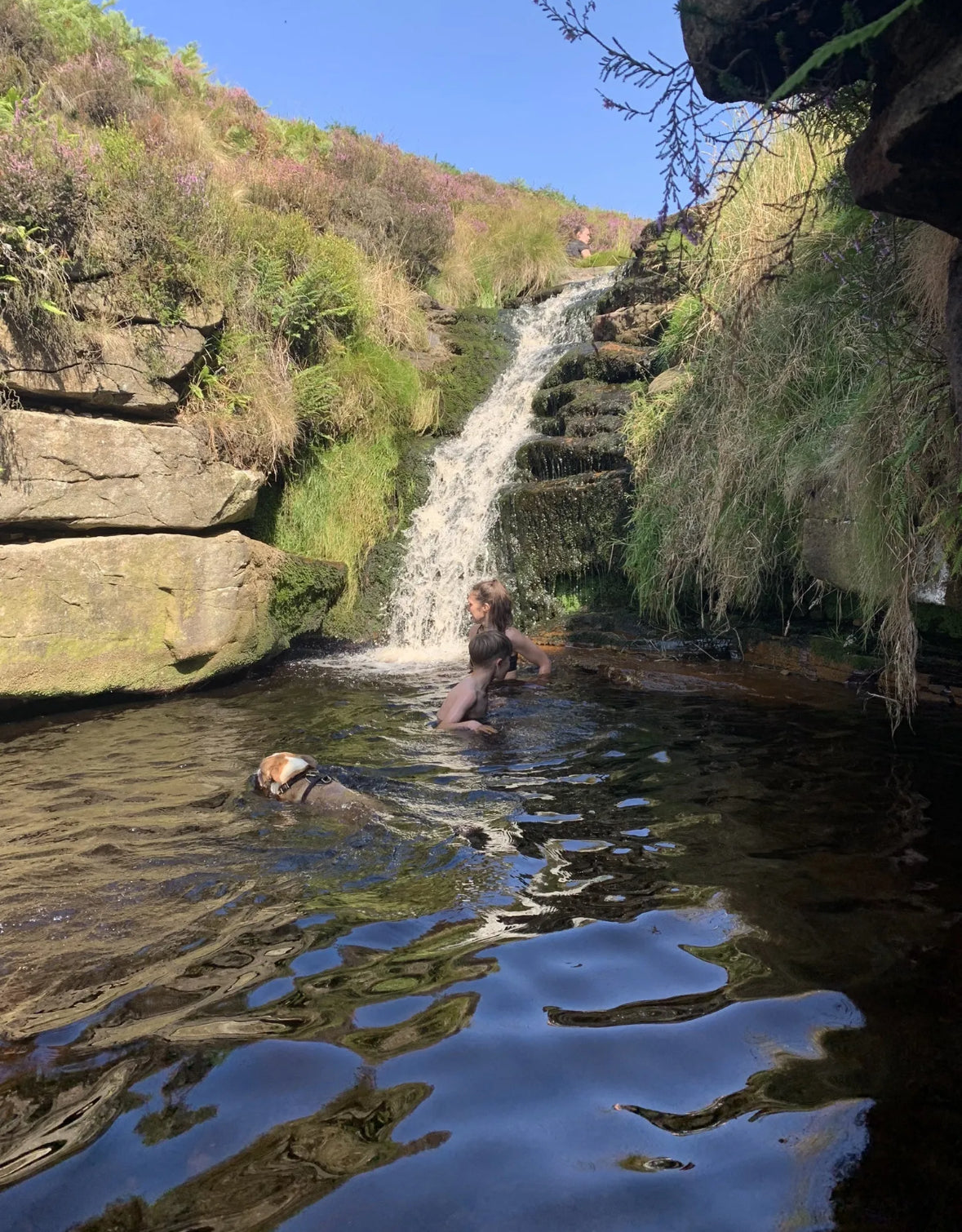 Seven Falls 3.5 Miles - Moderate. Sunday 10th August