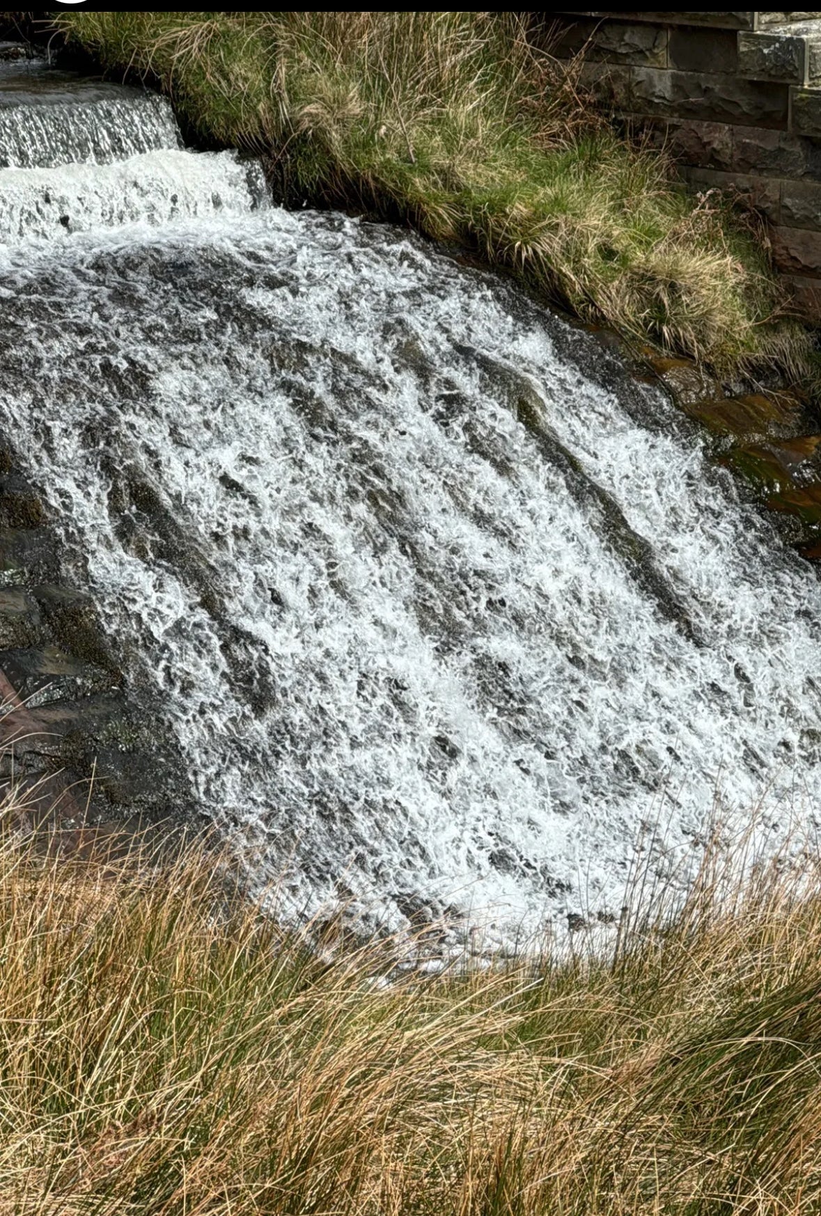 Below Kinder Scout Circular. 5.2 Miles. Moderate. Sunday 29th June