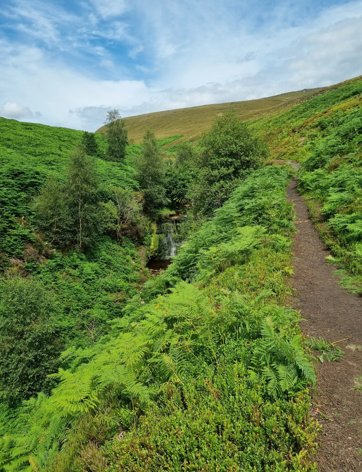 Seven Falls 3.5 Miles - Moderate. Sunday 10th August