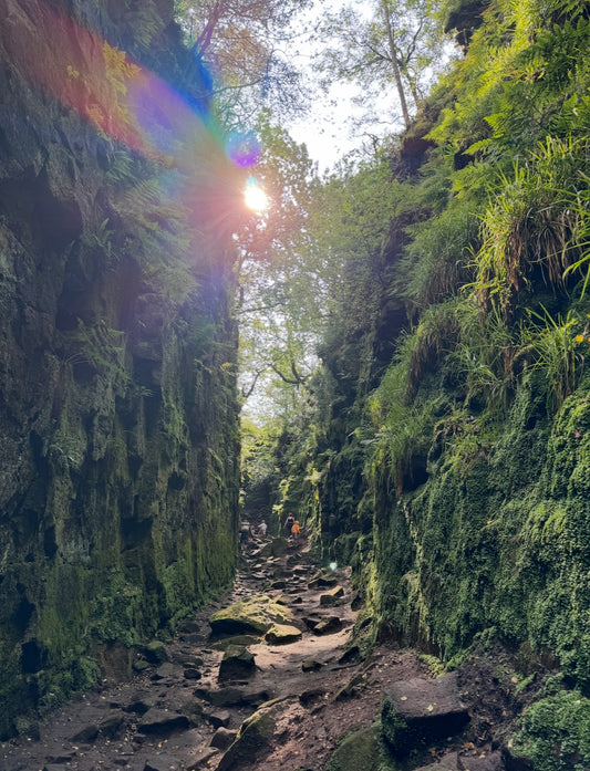 Gradbach & Luds Church Short 3 Mile Circular with Cafe Stop - Sunday November 2nd