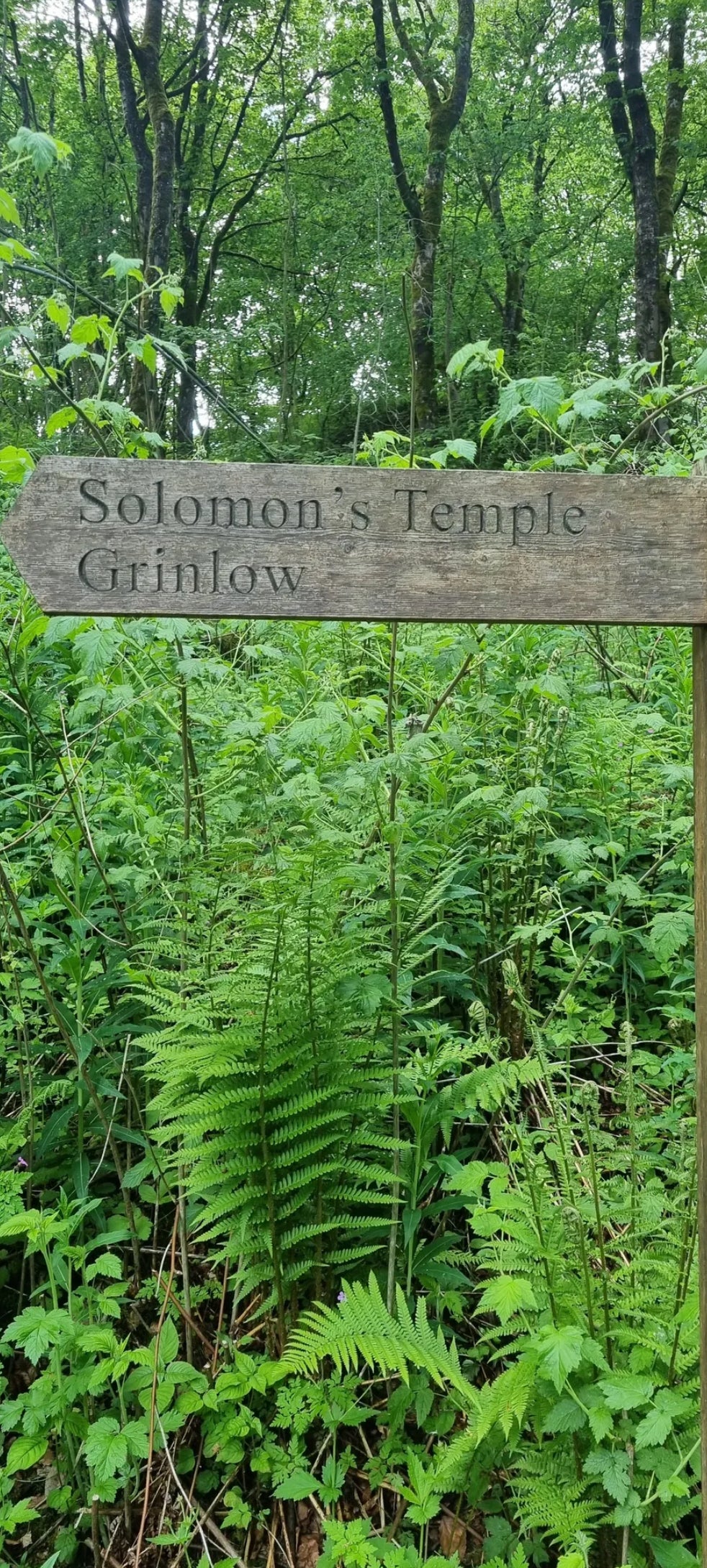 Solomans Temple & Pooles Cavern Circular - Sunday 26th October