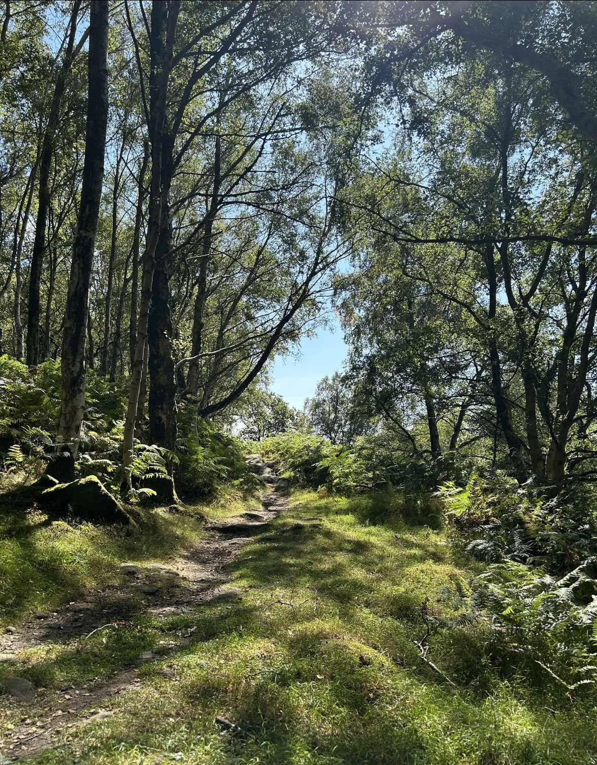 Nelsons Monument, 3 Ships & Eagle Stone Circular - Sunday 25th January