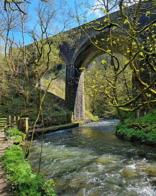 Millers Dale & Chee Dale Gorge Circular - Sunday 8th March