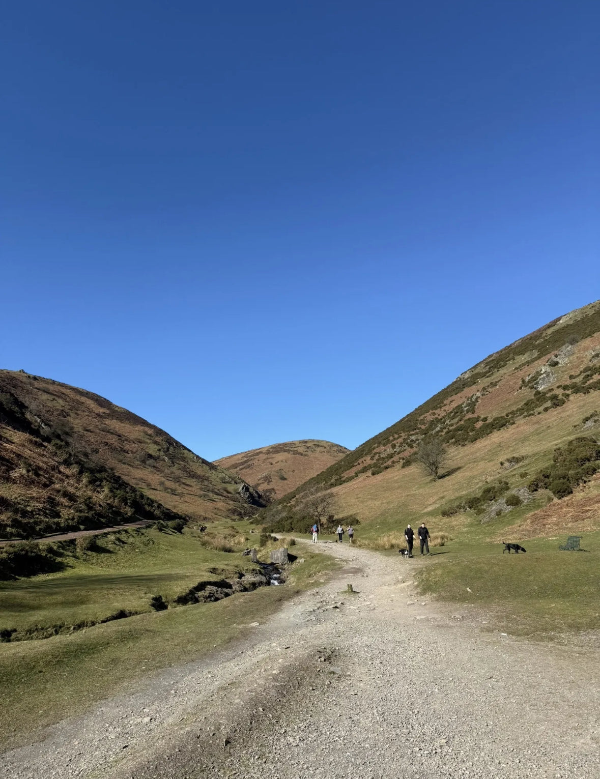 Shropshire Hills Walk or A day in Shrewsbury (AONB) Carding Mill Valley & The Long Mynd Circular. 6 Miles Mod - Saturday 11th October