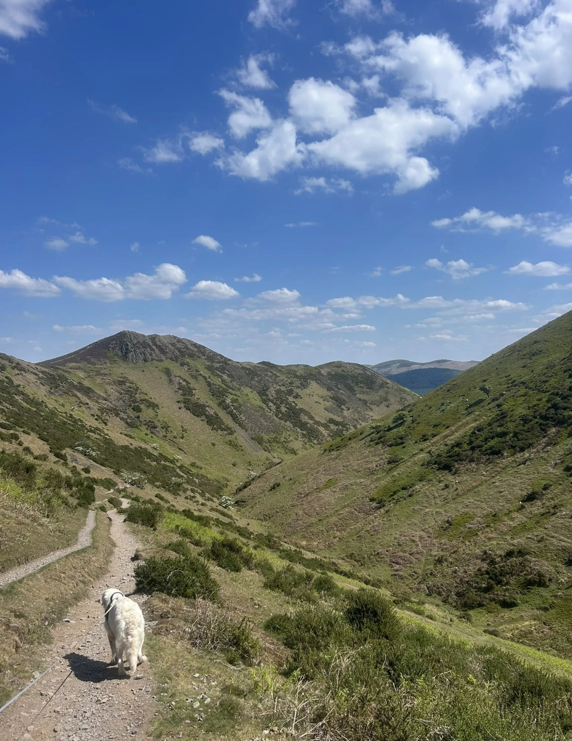 Shropshire Hills Walk or A day in Shrewsbury (AONB) Carding Mill Valley & The Long Mynd Circular. 6 Miles Mod - Saturday 11th October