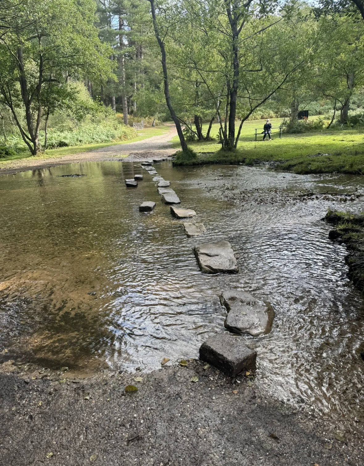 The Punchbowl & Stepping Stones Easy Walk. 4 Miles. Sunday 11th January
