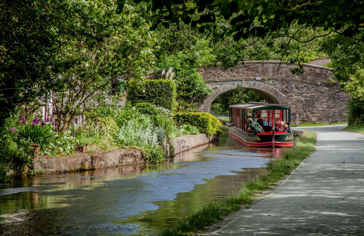 Clwydian Range & Dee Valley National Landscape (Best bits) Saturday July 19th