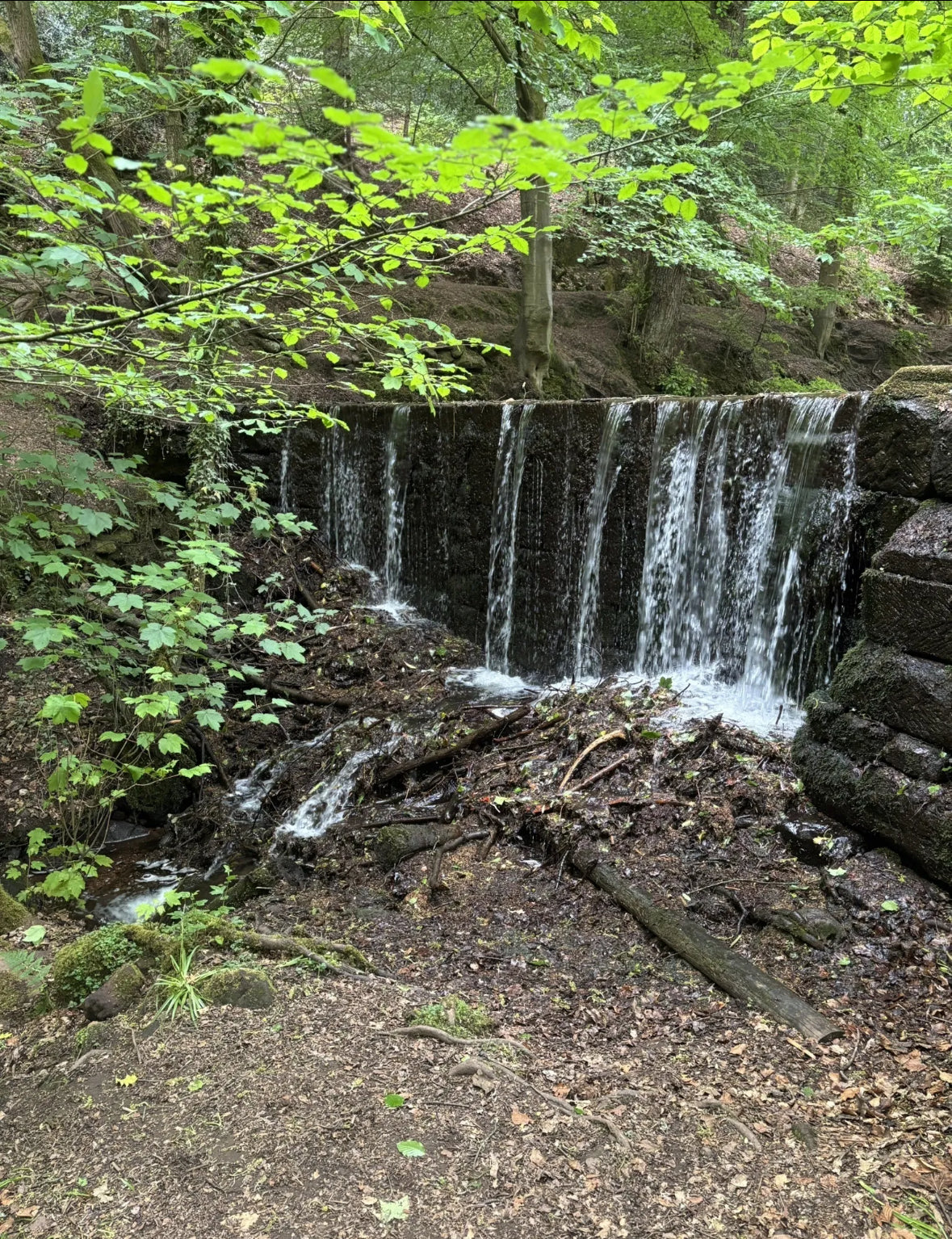 Hawksmoor via Dimmingsdale Circular 4 Miles Plus Cafe Stop - Sunday 23rd November