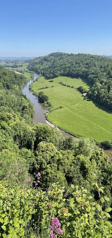 Puzzlewood &/or Clearwell Caves via Symonds Yat Rock - Forest of Dean Sunday 24th August