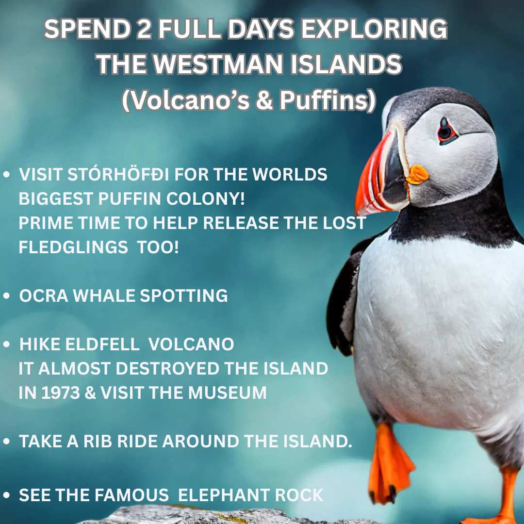 Iceland Solar Eclipse, Puffins, Whales, Westman Islands & Blue Lagoon. 12th - 16th August 2026.