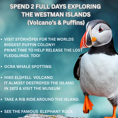 Iceland Solar Eclipse, Puffins, Whales, Westman Islands & Blue Lagoon. 12th - 16th August 2026.