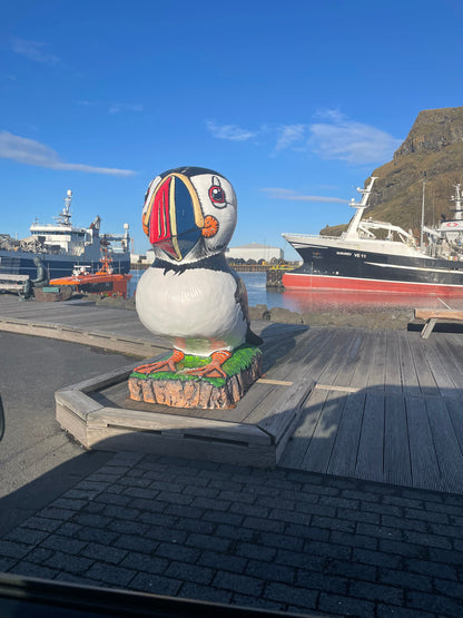 Solar Eclipse in Iceland 🌒 | Westman Islands Adventure | 12–16 Aug 2026 - Deposit just £330pp