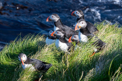 2026 Iceland Total Solar Eclipse & Westman Islands Adventure | 12–16 Aug 2026 - Deposit just £330pp