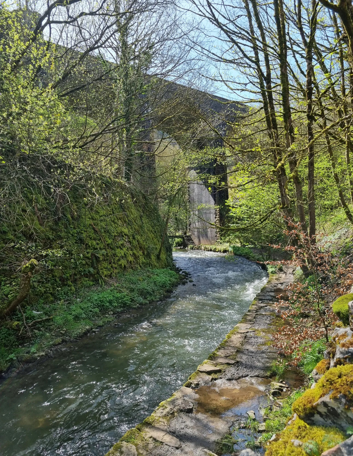 Millers Dale & Chee Dale Gorge Circular - Sunday 8th March