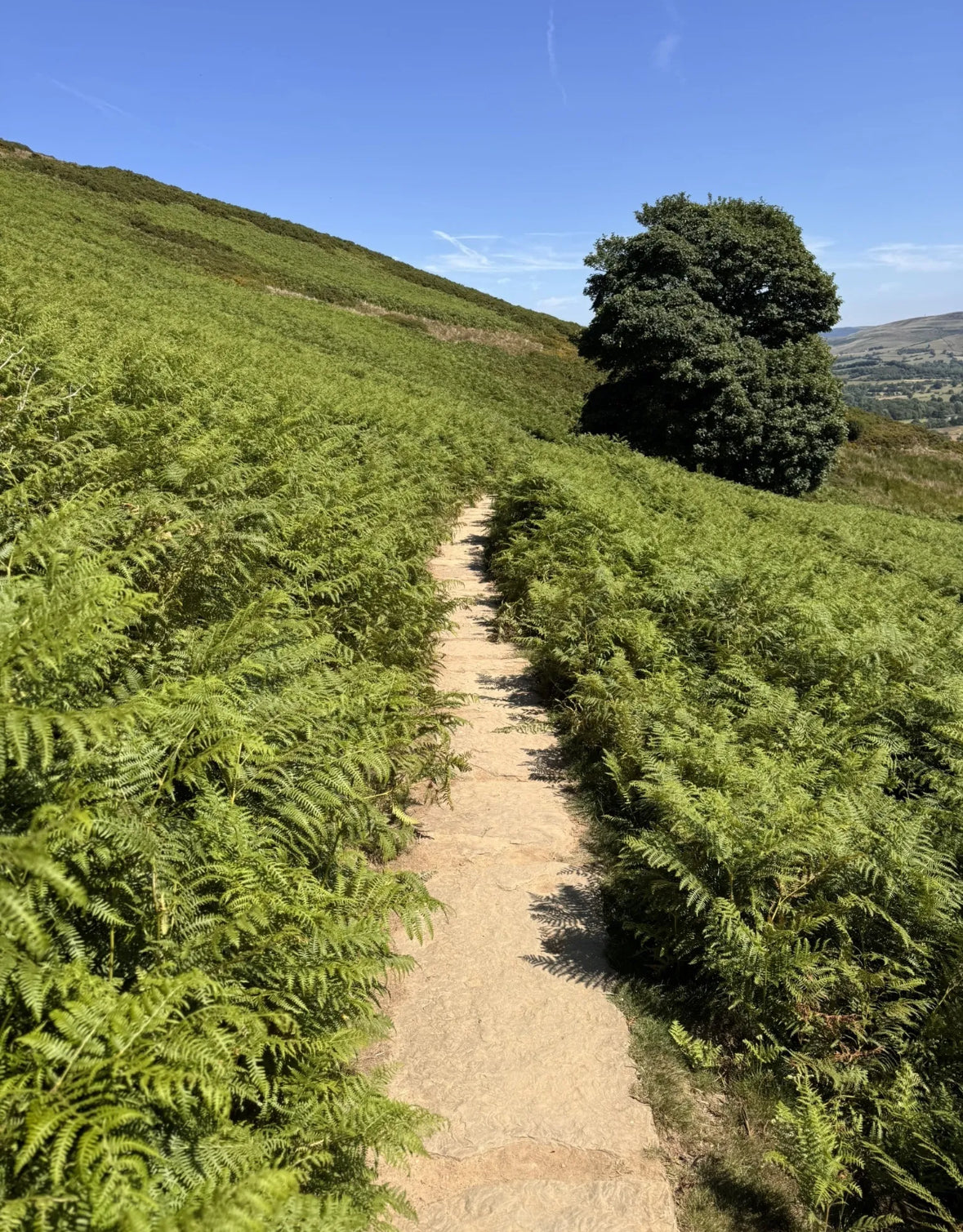 Lose Hill, Back Tor & Hollins Cross Circular 5 Mile walk. Saturday 15th November