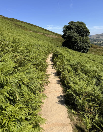 Lose Hill, Back Tor & Hollins Cross Circular 5 Mile walk. Saturday 15th November