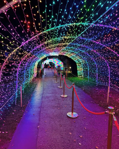 Sunday 13th December 🎅🏼   Christmas Collection 🎄     Warwick Castle & Light Trail ✨