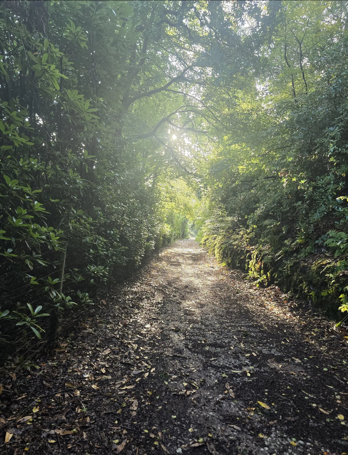 Hawksmoor via Dimmingsdale Circular 4 Miles Plus Cafe Stop - Sunday 23rd November