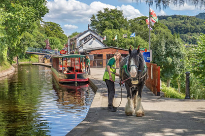 Clwydian Range & Dee Valley National Landscape (Best bits) Sunday 26th April 2026