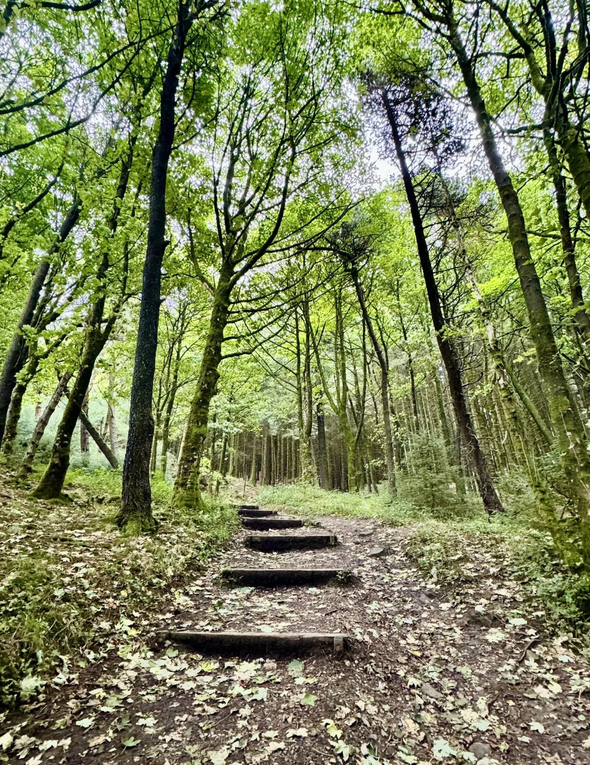 Teggs Nose via Ridgegate & Trentaback Reservoirs Circular. 6 Mile Mod - Saturday 7th June