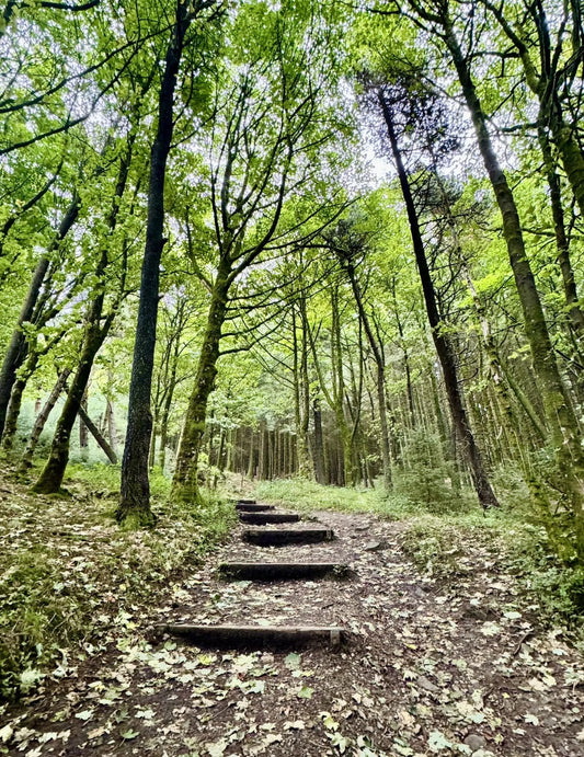 Teggs Nose via Ridgegate & Trentaback Reservoirs Circular. 6 Mile Mod - Saturday 7th June