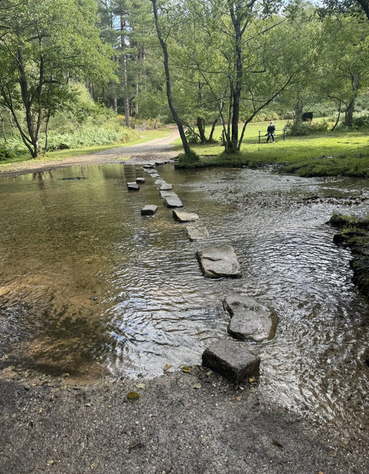 The Punchbowl & Stepping Stones Easy Walk. 4 Miles. Sunday 11th January