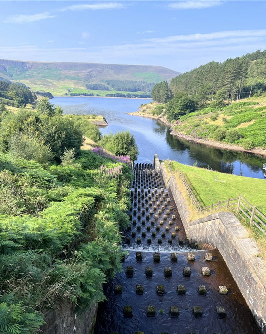 Binn Green to the Trinnacle - Saddleworth Moor 4 Miles Moderate. Sunday 25th May