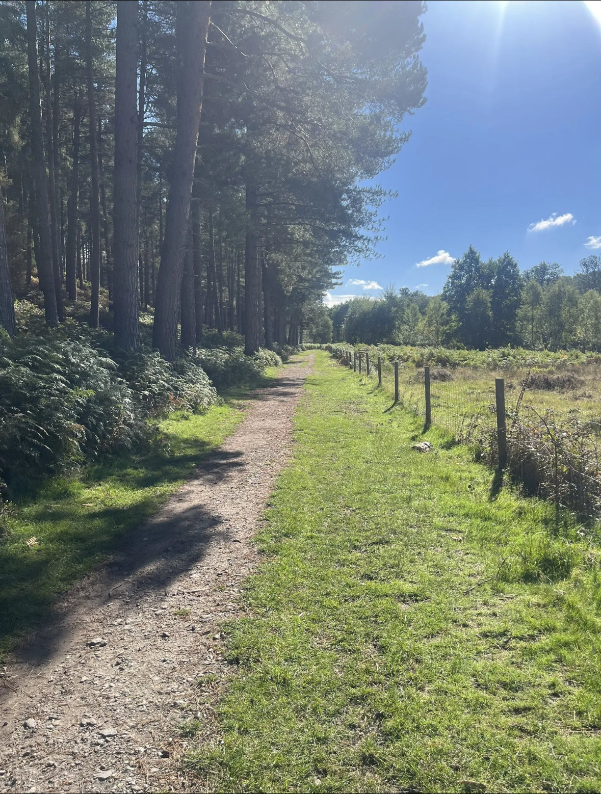 The Punchbowl & Stepping Stones Easy Walk. 4 Miles. Sunday 11th January