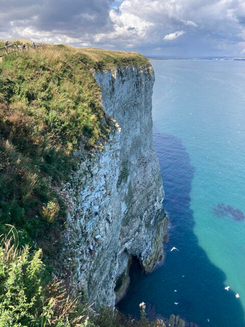 Bridlington in Puffin Season!! 🐧Add on a Boat Cruise or Visit to the Nature Reserve. Sunday 24th May