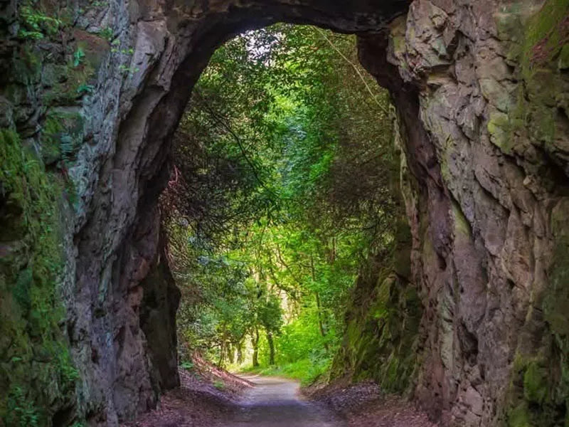 Sunday 23rd August: Hawkstone Park Follies Day Trip 🌲