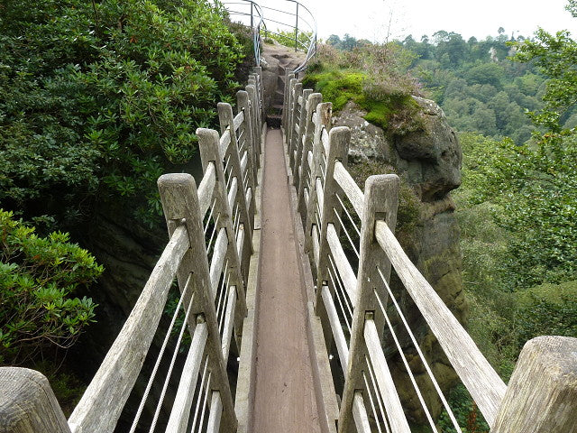 Sunday 23rd August: Hawkstone Park Follies Day Trip 🌲
