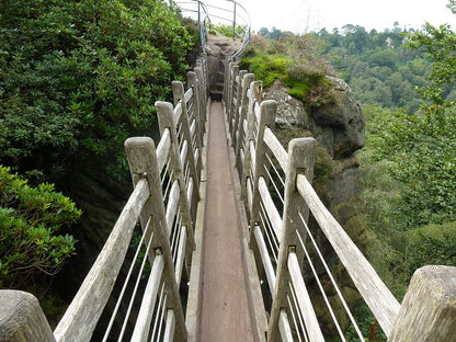Sunday 23rd August: Hawkstone Park Follies Day Trip 🌲