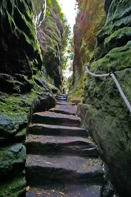 Sunday 23rd August: Hawkstone Park Follies Day Trip 🌲
