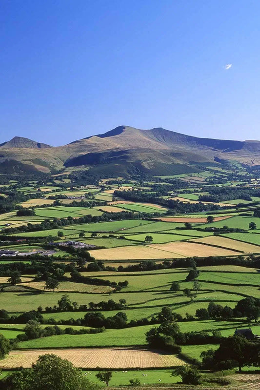Paws & Unwind 🐾 Brecon Dog-Friendly Break 

18–20 April 2027 · 2 nights