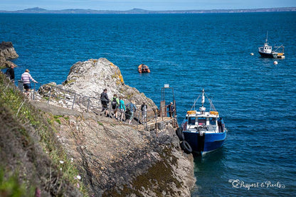 Pembrokeshire’s Coastal Best Bits! 3 Nights 7th - 10th May 2026