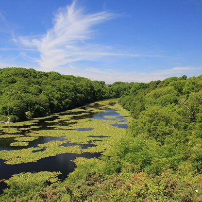 Pembrokeshire’s Coastal Best Bits! 3 Nights 7th - 10th May 2026