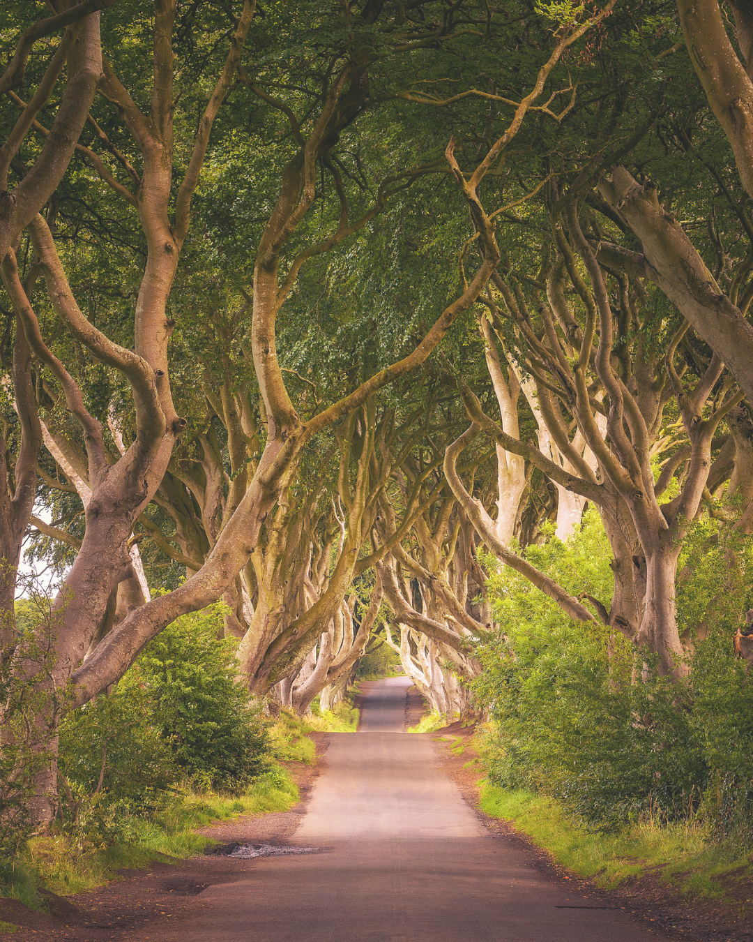 1st - 5th September          Northern Ireland 5-Day Guided Adventure.